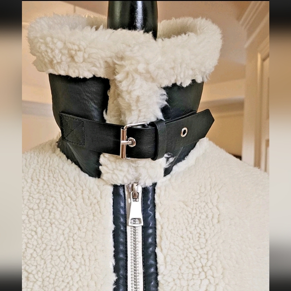 ZARA FAUX SHEARLING BIKER JACKET ZW COLLECTION ECRU (M) Retail $200 EUC-naked - Picture 12 of 16